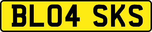 BL04SKS