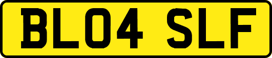 BL04SLF