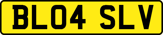 BL04SLV
