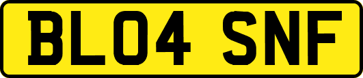 BL04SNF