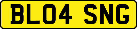 BL04SNG
