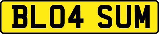 BL04SUM