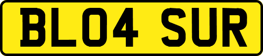 BL04SUR