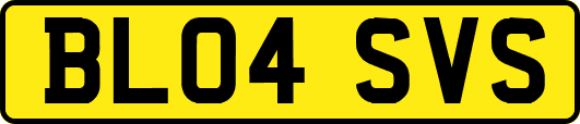 BL04SVS