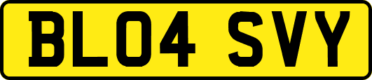 BL04SVY