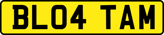 BL04TAM