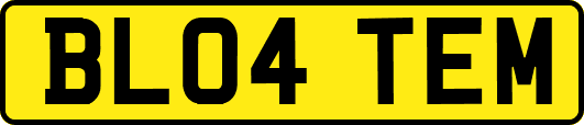 BL04TEM