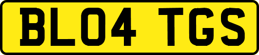 BL04TGS