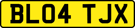 BL04TJX