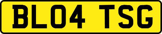 BL04TSG
