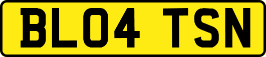 BL04TSN