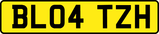 BL04TZH