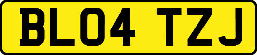 BL04TZJ