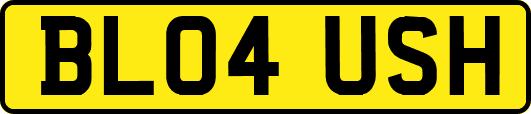 BL04USH