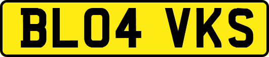 BL04VKS