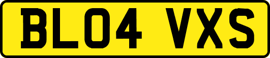BL04VXS