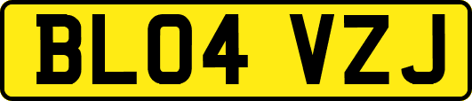 BL04VZJ