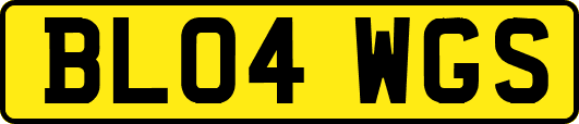 BL04WGS