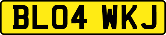 BL04WKJ