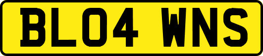 BL04WNS