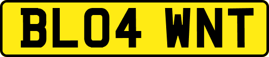 BL04WNT