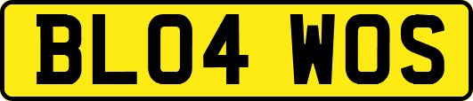 BL04WOS