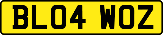 BL04WOZ