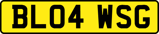 BL04WSG
