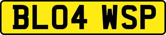 BL04WSP