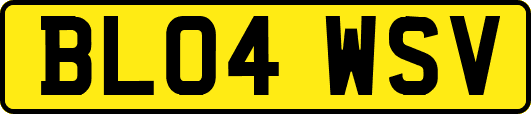 BL04WSV