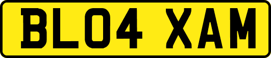 BL04XAM