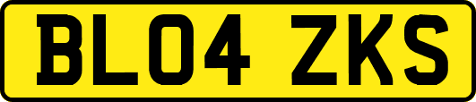 BL04ZKS