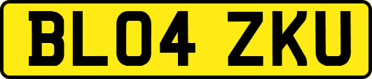 BL04ZKU