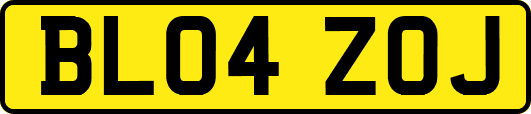 BL04ZOJ