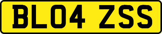 BL04ZSS