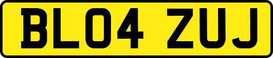 BL04ZUJ