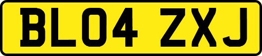 BL04ZXJ