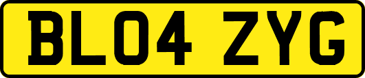 BL04ZYG