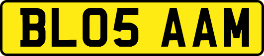 BL05AAM