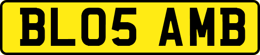 BL05AMB
