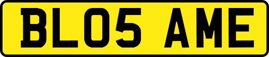BL05AME