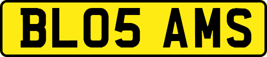 BL05AMS
