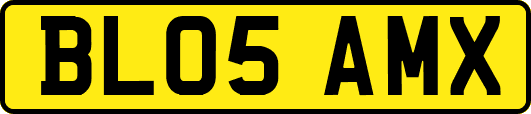 BL05AMX