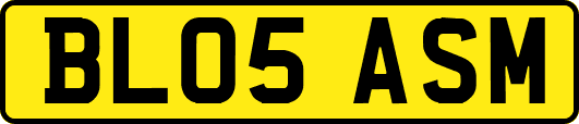 BL05ASM