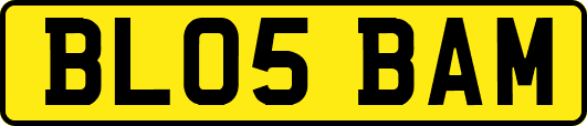 BL05BAM