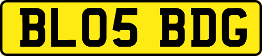 BL05BDG