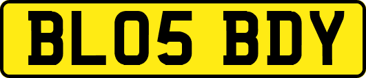 BL05BDY