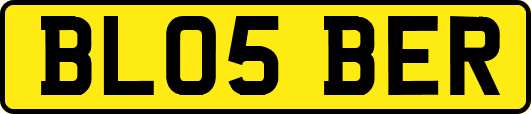 BL05BER