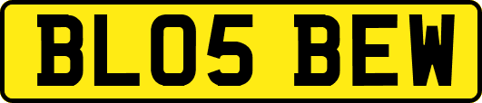 BL05BEW