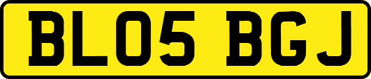 BL05BGJ